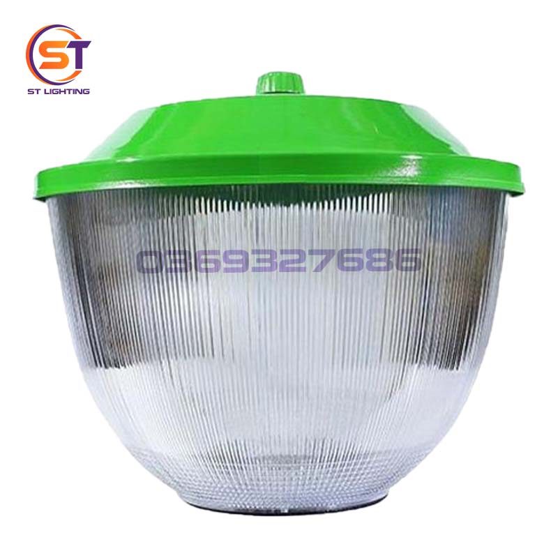 st sv bong tulip xanh