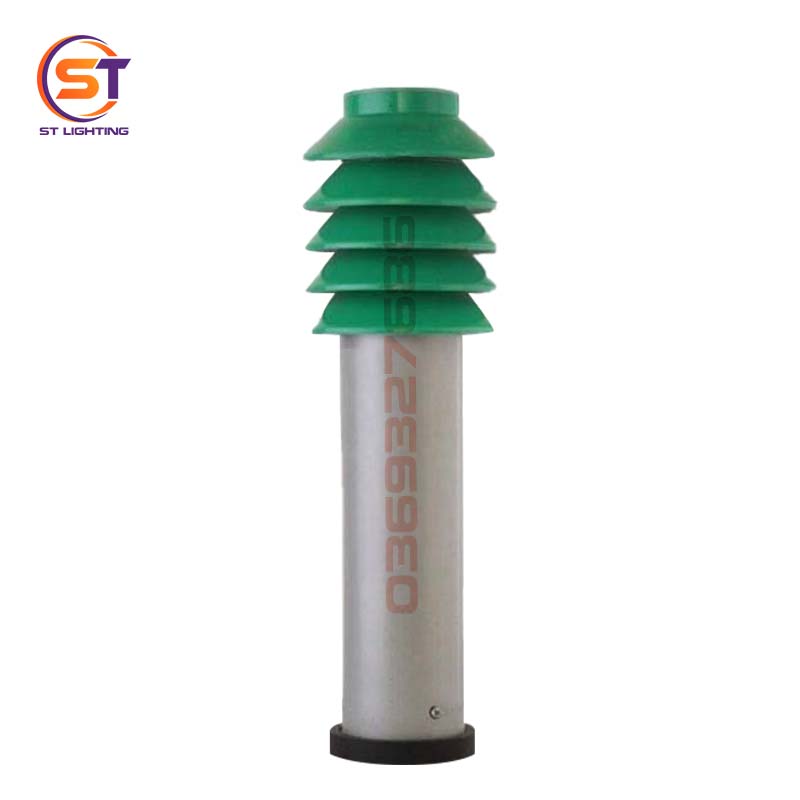 st sv nam cay thong bac ha