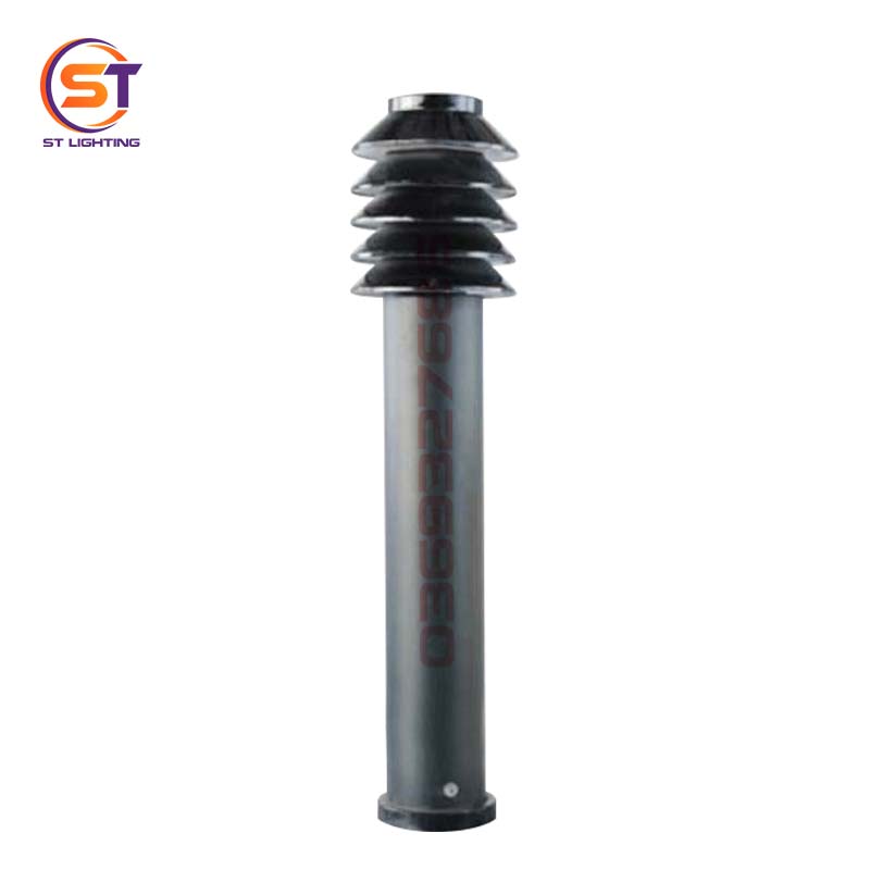 st sv nam cay thong den