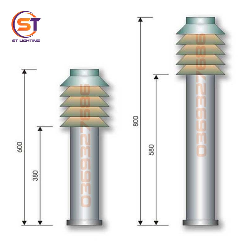 st sv nam cay thong ve