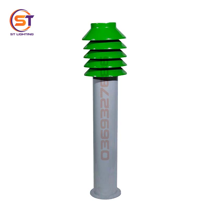 st sv nam cay thong xanh